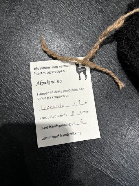 Alpakino Lue fra Leonardo